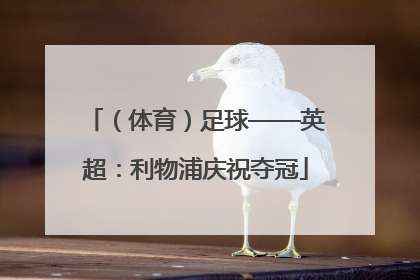 （体育）足球——英超：利物浦庆祝夺冠