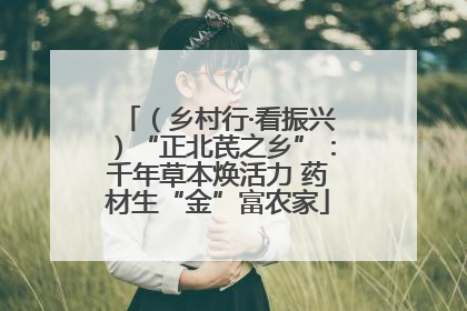 （乡村行·看振兴）“正北芪之乡”：千年草本焕活力 药材生“金”富农家