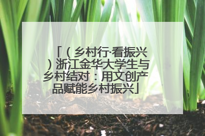 （乡村行·看振兴）浙江金华大学生与乡村结对：用文创产品赋能乡村振兴