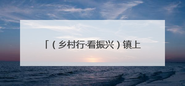 （乡村行·看振兴）镇上建起“土地驿站” 农田变良田撑起农民“钱袋子”