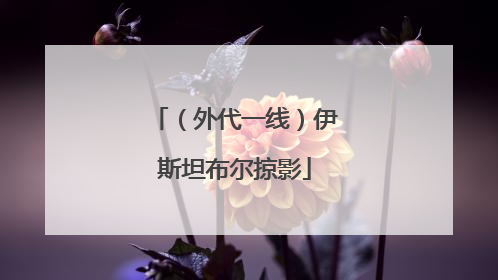 （外代一线）伊斯坦布尔掠影