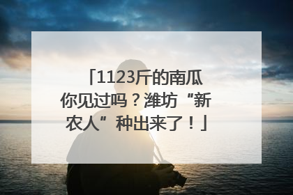 1123斤的南瓜你见过吗？潍坊“新农人”种出来了！