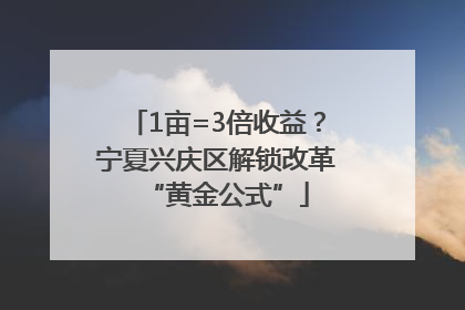 1亩=3倍收益？宁夏兴庆区解锁改革“黄金公式”