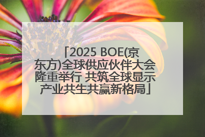 2025 BOE(京东方)全球供应伙伴大会隆重举行 共筑全球显示产业共生共赢新格局