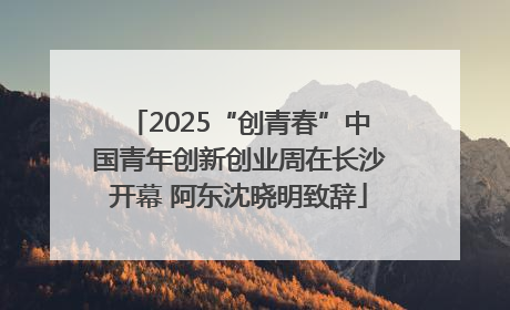 2025“创青春”中国青年创新创业周在长沙开幕 阿东沈晓明致辞