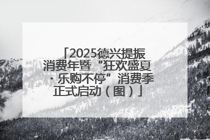 2025德兴提振消费年暨“狂欢盛夏・乐购不停”消费季正式启动（图）