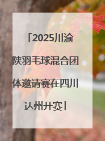 2025川渝陕羽毛球混合团体邀请赛在四川达州开赛
