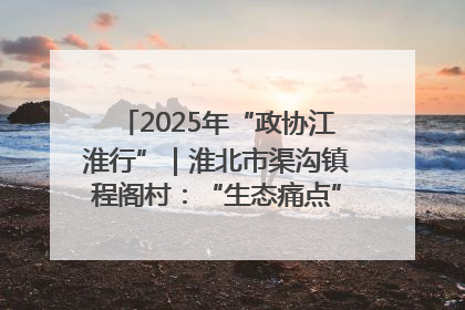 2025年“政协江淮行”｜淮北市渠沟镇程阁村：“生态痛点”变“生态景观”