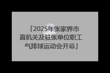 2025年张家界市直机关及驻张单位职工气排球运动会开幕