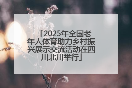2025年全国老年人体育助力乡村振兴展示交流活动在四川北川举行