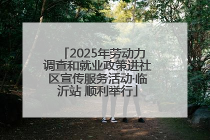 2025年劳动力调查和就业政策进社区宣传服务活动·临沂站 顺利举行