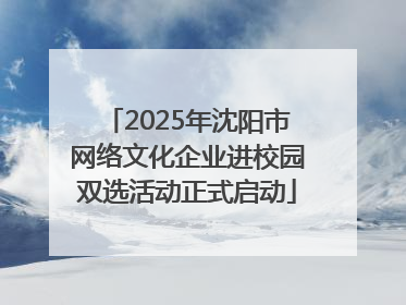 2025年沈阳市网络文化企业进校园双选活动正式启动