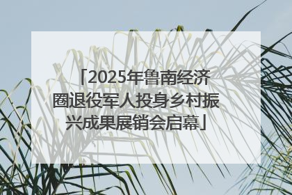 2025年鲁南经济圈退役军人投身乡村振兴成果展销会启幕