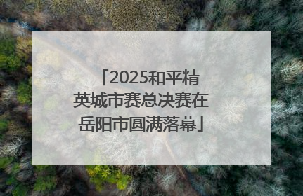 2025和平精英城市赛总决赛在岳阳市圆满落幕