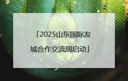 2025山东国际友城合作交流周启动