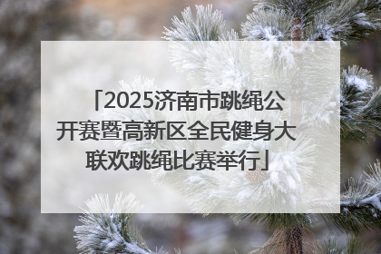 2025济南市跳绳公开赛暨高新区全民健身大联欢跳绳比赛举行