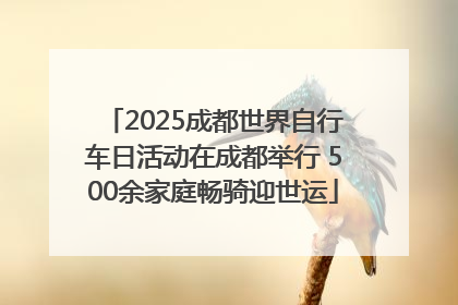 2025成都世界自行车日活动在成都举行 500余家庭畅骑迎世运