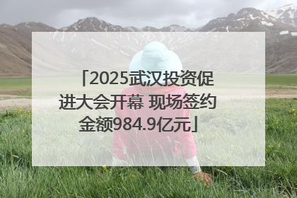 2025武汉投资促进大会开幕 现场签约金额984.9亿元