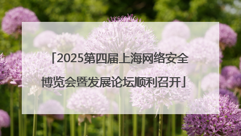 2025第四届上海网络安全博览会暨发展论坛顺利召开