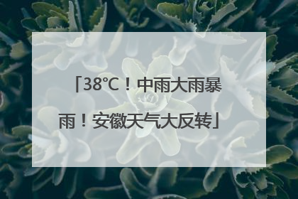 38℃！中雨大雨暴雨！安徽天气大反转
