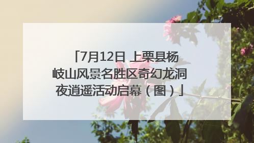 7月12日 上栗县杨岐山风景名胜区奇幻龙洞夜逍遥活动启幕（图）
