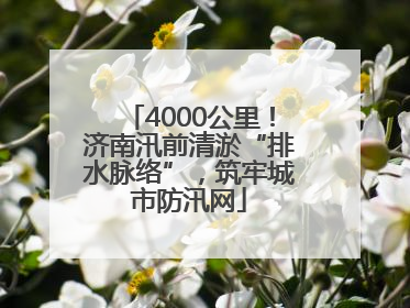 4000公里！济南汛前清淤“排水脉络”，筑牢城市防汛网
