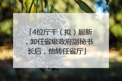 4位厅干（拟）履新，卸任省级政府副秘书长后，他转任省厅