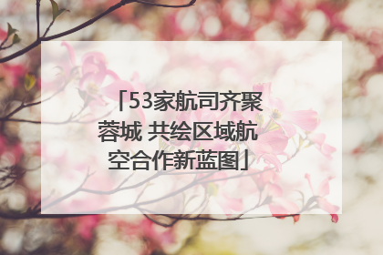 53家航司齐聚蓉城 共绘区域航空合作新蓝图