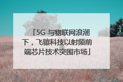 5G 与物联网浪潮下，飞骧科技以射频前端芯片技术突围市场