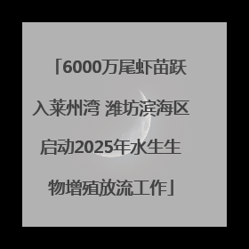 6000万尾虾苗跃入莱州湾 潍坊滨海区启动2025年水生生物增殖放流工作