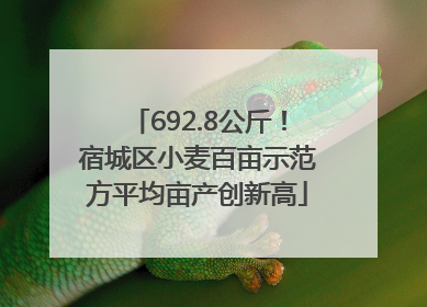 692.8公斤！宿城区小麦百亩示范方平均亩产创新高