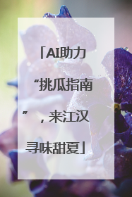 AI助力“挑瓜指南”，来江汉寻味甜夏