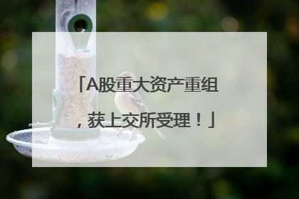A股重大资产重组，获上交所受理！