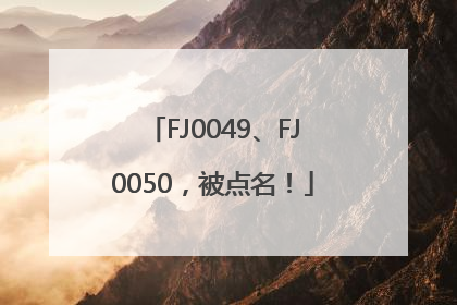 FJ0049、FJ0050，被点名！