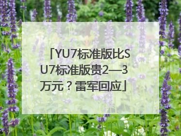 YU7标准版比SU7标准版贵2—3万元？雷军回应
