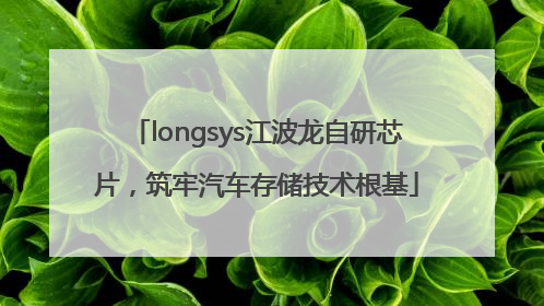longsys江波龙自研芯片，筑牢汽车存储技术根基